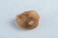 Single dried fig on white background Royalty Free Stock Photo