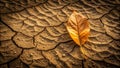 A single dried leaf rests upon the parched and cracked earth, a testament to the severity of the drought. Generative AI Royalty Free Stock Photo