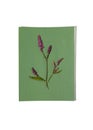 Single dried pressed flowers on blue green background. Wildflower for Botanical wall art. Bohi interior design style.