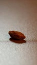 Single dried raisin with textured surface casting a soft shadow, macro detail Royalty Free Stock Photo