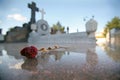 Single Dried Rose on Tomb in Graveyard Royalty Free Stock Photo