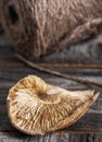 Single dried shiitake mushroom Royalty Free Stock Photo