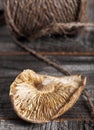 Single dried shiitake mushroom Royalty Free Stock Photo