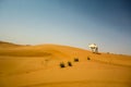 Single dromedary in red hatta desert in the United Arab Emirates