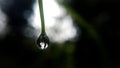 Single drop of water, Micro photograhy