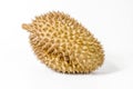 Single durian on the white background Royalty Free Stock Photo