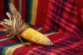 single ear of corn displayed on a patterned african cloth