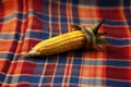 single ear of corn displayed on a patterned african cloth