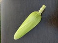 Single ear of corn isolated with its husk stem and silk on. Green coloured ear of corn with plain dark background.