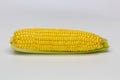 Single ear of corn isolated on white background. Isolated. Package design element. Sweet corn with husk Royalty Free Stock Photo