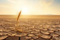 Single ear of wheat left in dry cracked soil, climate change and food crisis concept. Generative realistic AI illustration Royalty Free Stock Photo