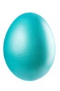 Single Easter Egg isolated on white. A lovely Turquoise metallic egg on white background. Royalty Free Stock Photo