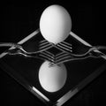 Single Egg Balanced on two forks Royalty Free Stock Photo