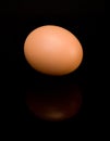 Single egg on black background