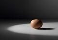 Single Egg in a Dramatic Spotlight Royalty Free Stock Photo
