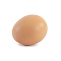 Single egg isolated on white Royalty Free Stock Photo