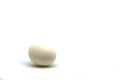 Single egg isolated in white background for health and nutrition purpose with room for text Royalty Free Stock Photo