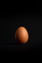 Single egg standing on a black background Royalty Free Stock Photo