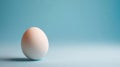 Single egg stands upright on a soft blue background, showcasing minimalist design and balance. The simplicity and soft Royalty Free Stock Photo