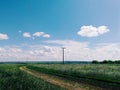 A single electric pole against a background of blue sky and clouds in a field of cereals and a dirt road to it Royalty Free Stock Photo