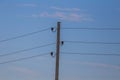 Single electricity pole with wires on the blue sky background.