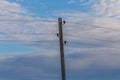 Single electricity pole with wires on the blue sky background.