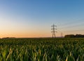 A single electricity pylon in a wheat field in the countryside