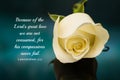 Elegant White Rose with Christian Bible Verse
