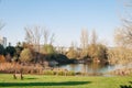 Single Empty Bench in a Park with Lake