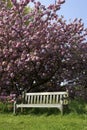 Single empty park bench Royalty Free Stock Photo