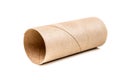 Single empty toilet paper roll Royalty Free Stock Photo
