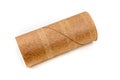 Single empty toilet paper roll Royalty Free Stock Photo