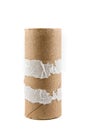 Single empty toilet paper roll Royalty Free Stock Photo