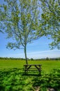 Single empty wooden picnic table set beside a tree on grass looking towards the view of London