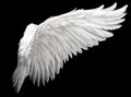 Single White Angelic Wing on Dark Background Royalty Free Stock Photo