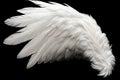 Single White Angelic Wing on Dark Background Royalty Free Stock Photo