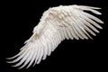 Single White Angelic Wing on Dark Background Royalty Free Stock Photo