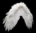 Single White Angelic Wing on Dark Background Royalty Free Stock Photo