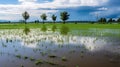 Single farm plot inundated by storm Royalty Free Stock Photo