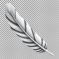 Single Feather on Checkered Background Royalty Free Stock Photo