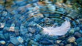 A single feather floats in a reflective pool of water disturbed only by ripples caused by the gentle breeze. The Royalty Free Stock Photo