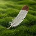 A single feather rests delicately on a lush green surface, likely moss. The feather is Royalty Free Stock Photo