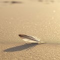 A single feather rests on smooth sand, casting a distinct shadow. The feather is small, Royalty Free Stock Photo