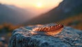 Single feather rests on weathered stone at sunset with blurred mountain range background. Soft golden light illuminates delicate Royalty Free Stock Photo