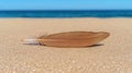 Single feather on sandy beach near ocean Royalty Free Stock Photo