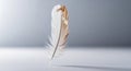 A single feather stands vertically on a smooth surface against a neutral gray background. The Royalty Free Stock Photo
