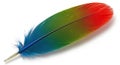A single feather with a vibrant Royalty Free Stock Photo