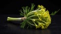 single fennelherb in a black ai generated Royalty Free Stock Photo