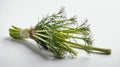 single fennelherb in a white ai generated Royalty Free Stock Photo