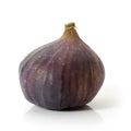 Single fig fruit on white background. Full depth of field. Royalty Free Stock Photo